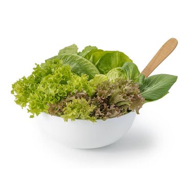 Hydroponics Lettuce Mix - Organically Grown