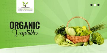 Delicious Organic Vegetable
