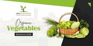 Elevate Your Meals with Bangalore's Organic Vegetables