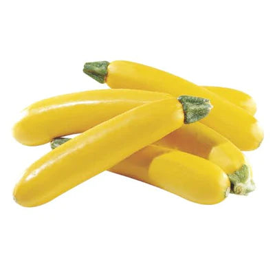 Hydroponics Zucchini
